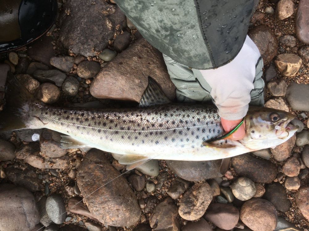 рыбалка на Варзуге