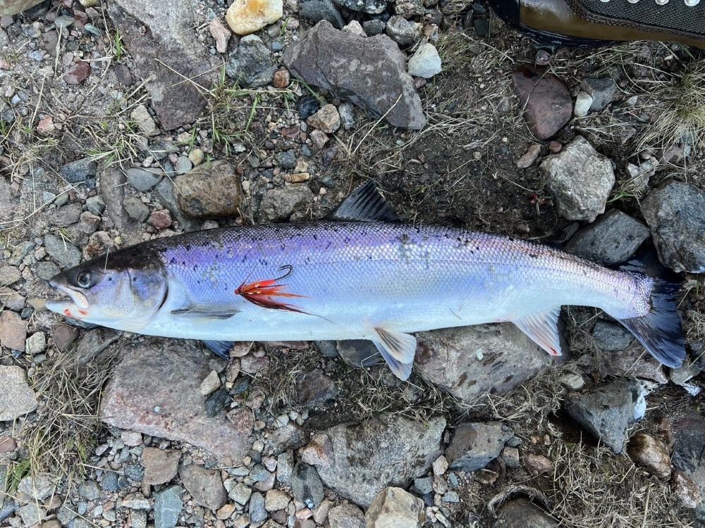 рыбалка на Варзуге