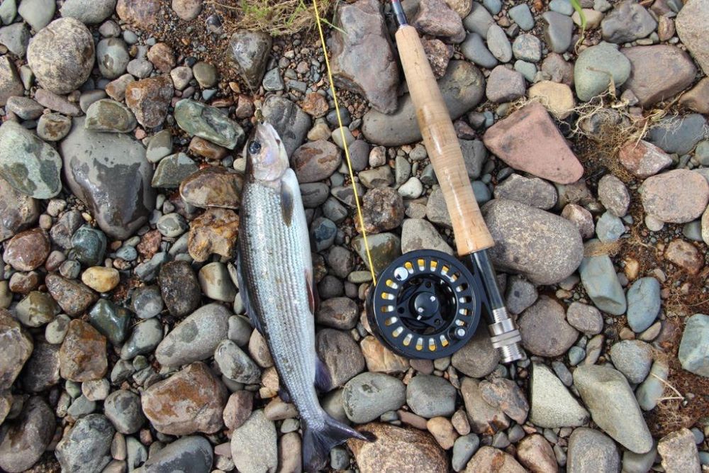 рыбалка на Варзуге