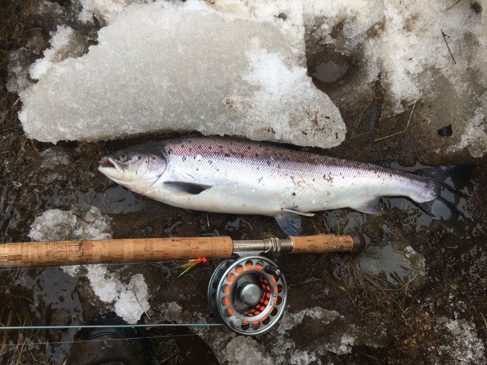рыбалка на Варзуге