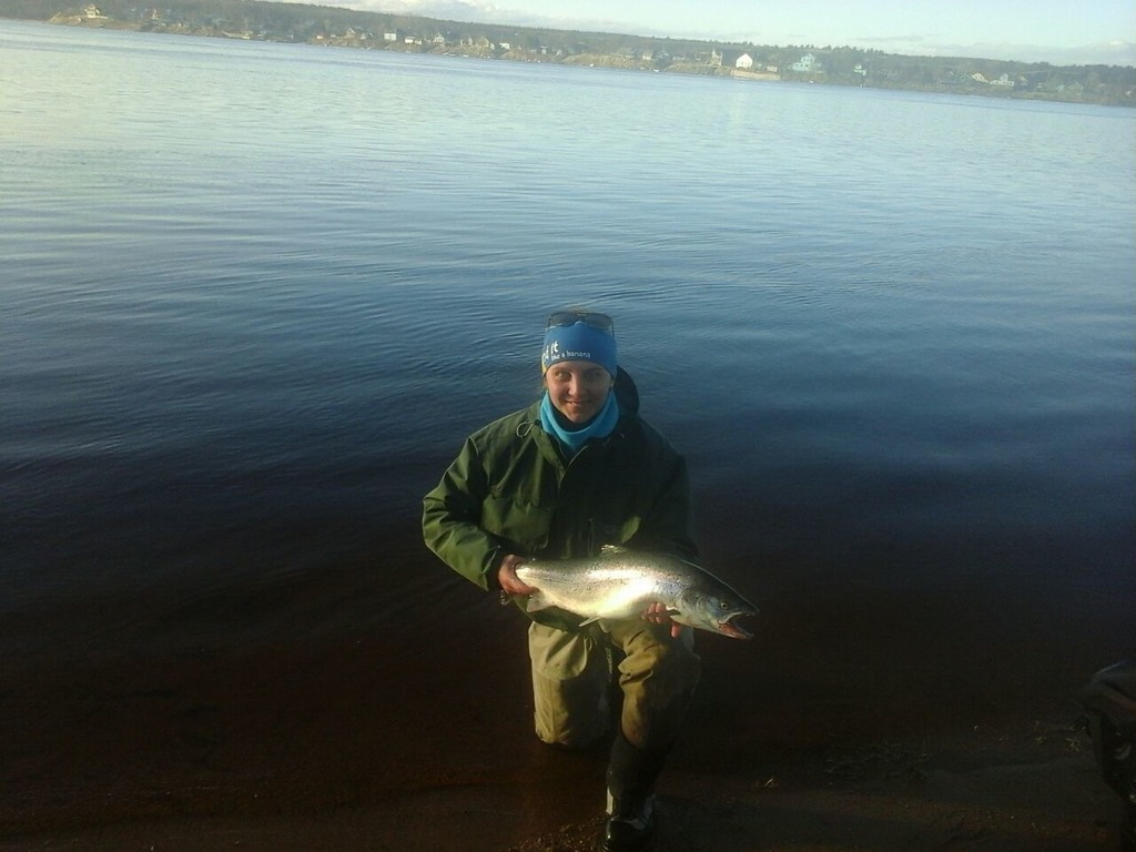 рыбалка, семга